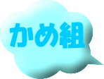 かめ組
